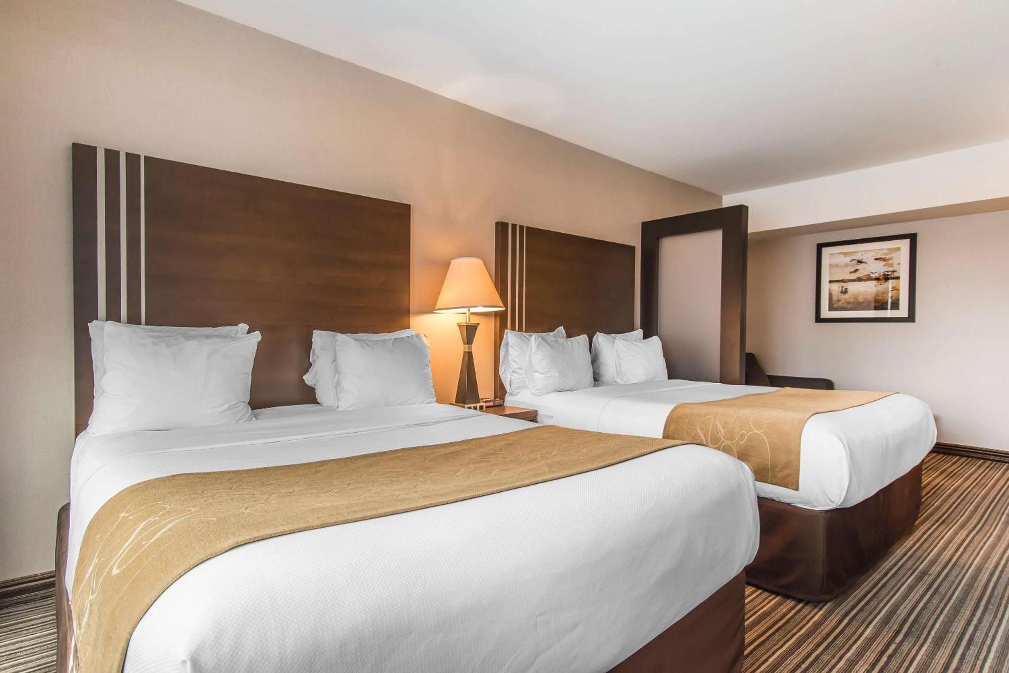 מונטריאול Comfort Suites Downtown מראה חיצוני תמונה